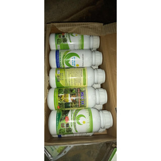 Canxibo 5L cho rau ăn trái cây ớt, bầu bí, cà chua, dưa leo, đậu cove,.. chắc cuống , chống rụng trái, dưỡng trái n