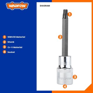 ĐỒ NGHỀ WADFOW Đầu tuýp 1/2" ra đầu vít lục giác  sao dài T25x100mm LCCx WSC5212
