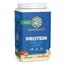 Bột protein thực vật hữu cơ Sunwarrior Warrior