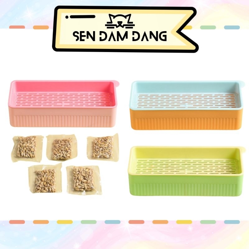 Bộ Trồng Cỏ Mèo Thủy Canh Tiêu Hóa Búi Lông Cho Mèo