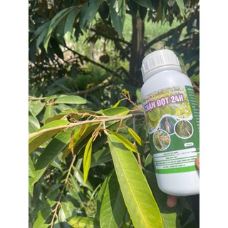 CHẶN ĐỌT 24h can 5L chuyên dùng cho sầu riêng
