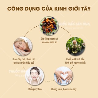 Lá kinh giới tây khô 100g (Lá oregano nguyên liệu món Âu) - Lãn Ông
