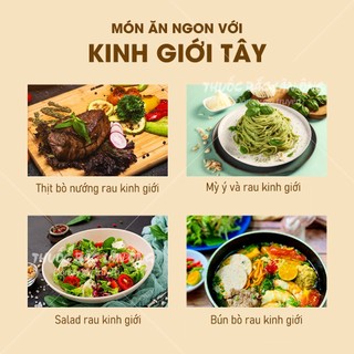 Lá kinh giới tây khô 100g (Lá oregano nguyên liệu món Âu) - Lãn Ông