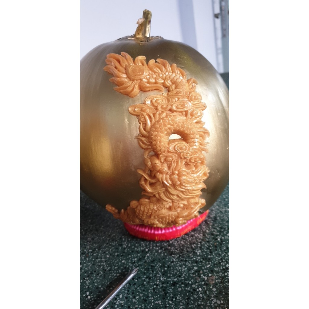 PHÔI RỒNG TRANG TRÍ HANDMADE | Shopee Việt Nam