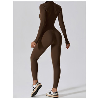 Bộ Đồ Tập Gym, Yoga Thể Thao Nữ Mẫu Jumpsuits Tay Dài Quần Dài Chất Poly Cao Cấp (mã suit306)