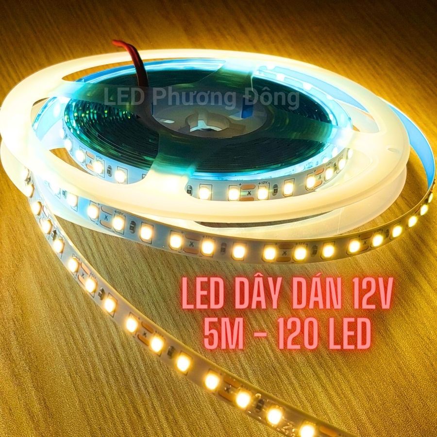 Cuộn 5m LED dây dán 12V  2835 Trắng / Vàng / Trung Tính - 120 LED/mét  CHƯA BAO GỒM NGUỒN