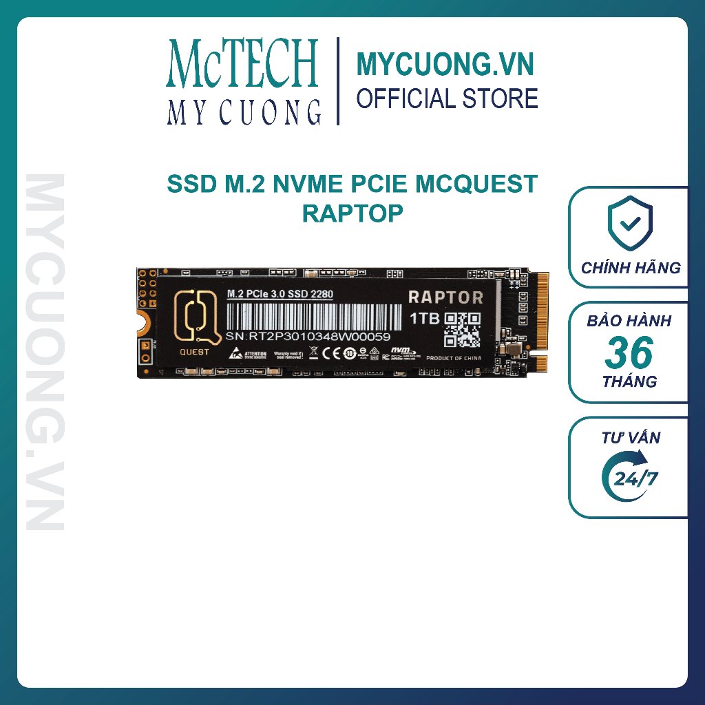 Ổ Cứng gắn trong SSD QUEST RAPTOR 256GB / 512GB / 1TB 2.5 M.2 NVME PCIe ...