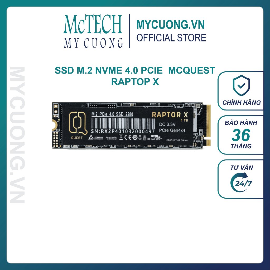 Ổ Cứng gắn trong SSD QUEST RAPTOR X 256GB / 512GB / 1TB M.2 NVME Gen ...