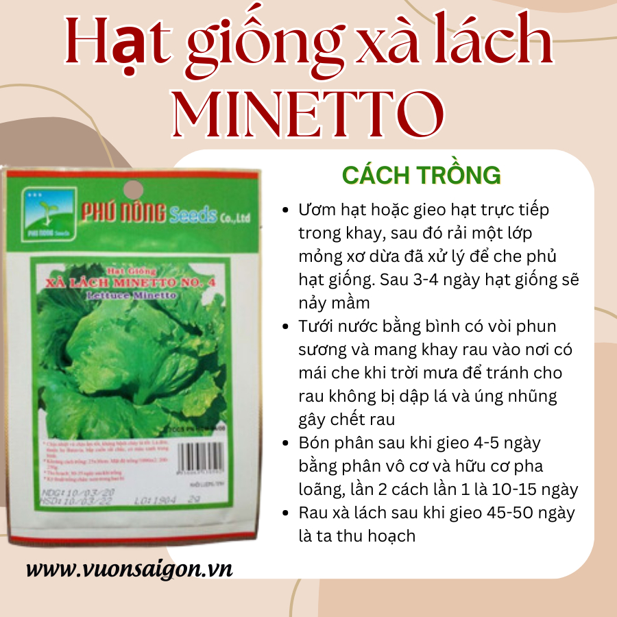 Hạt giống xà lách MINETTO Phú Nông 3