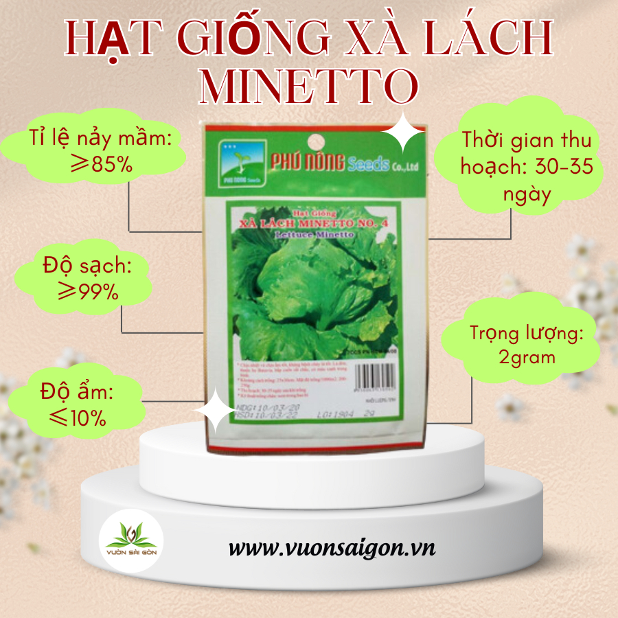 Hạt giống xà lách MINETTO Phú Nông 2