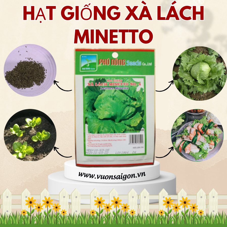 Hạt giống xà lách MINETTO Phú Nông 4