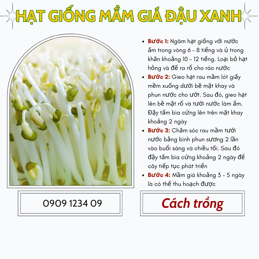Hạt giống mầm giá đậu xanh Phú Nông 3