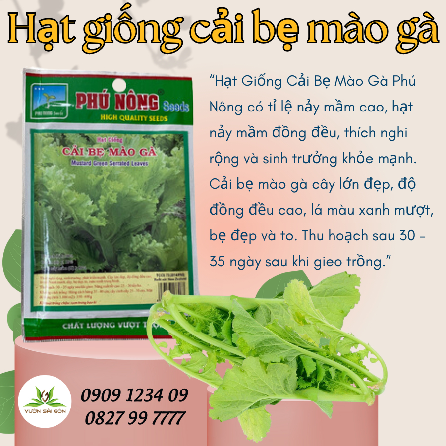Hạt giống cải bẹ mào gà Phú Nông 1