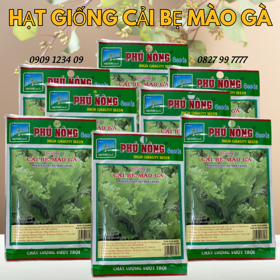 Hạt giống cải bẹ mào gà Phú Nông 5