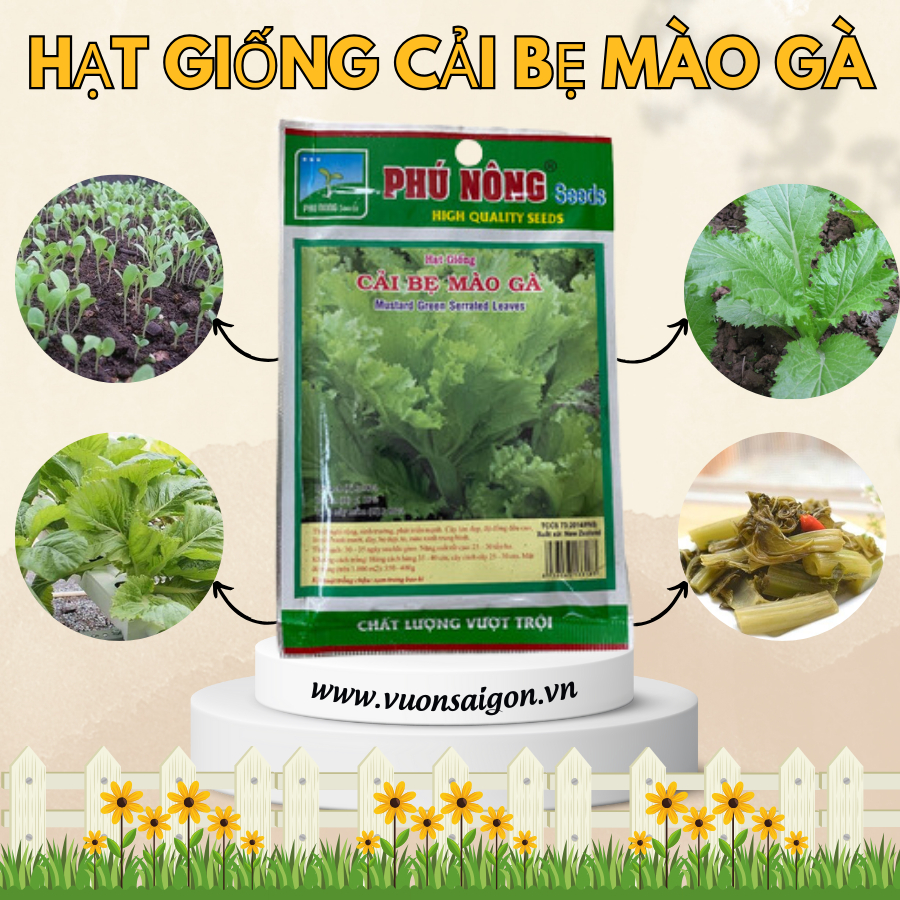 Hạt giống cải bẹ mào gà Phú Nông 4