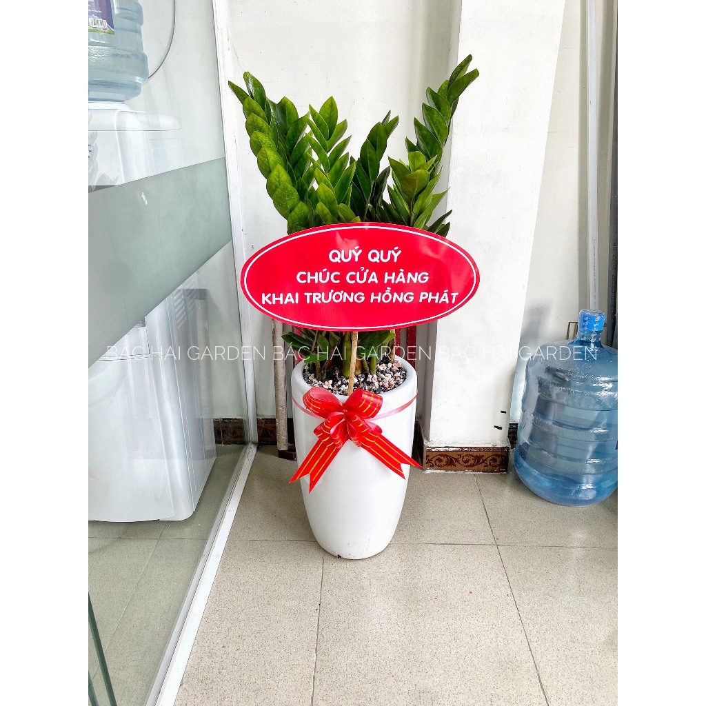 Bảng cắm đỏ Khai trương - Tân gia in theo nội dung yêu cầu khổ lớn A3- Chỉ bán kèm cây xanh