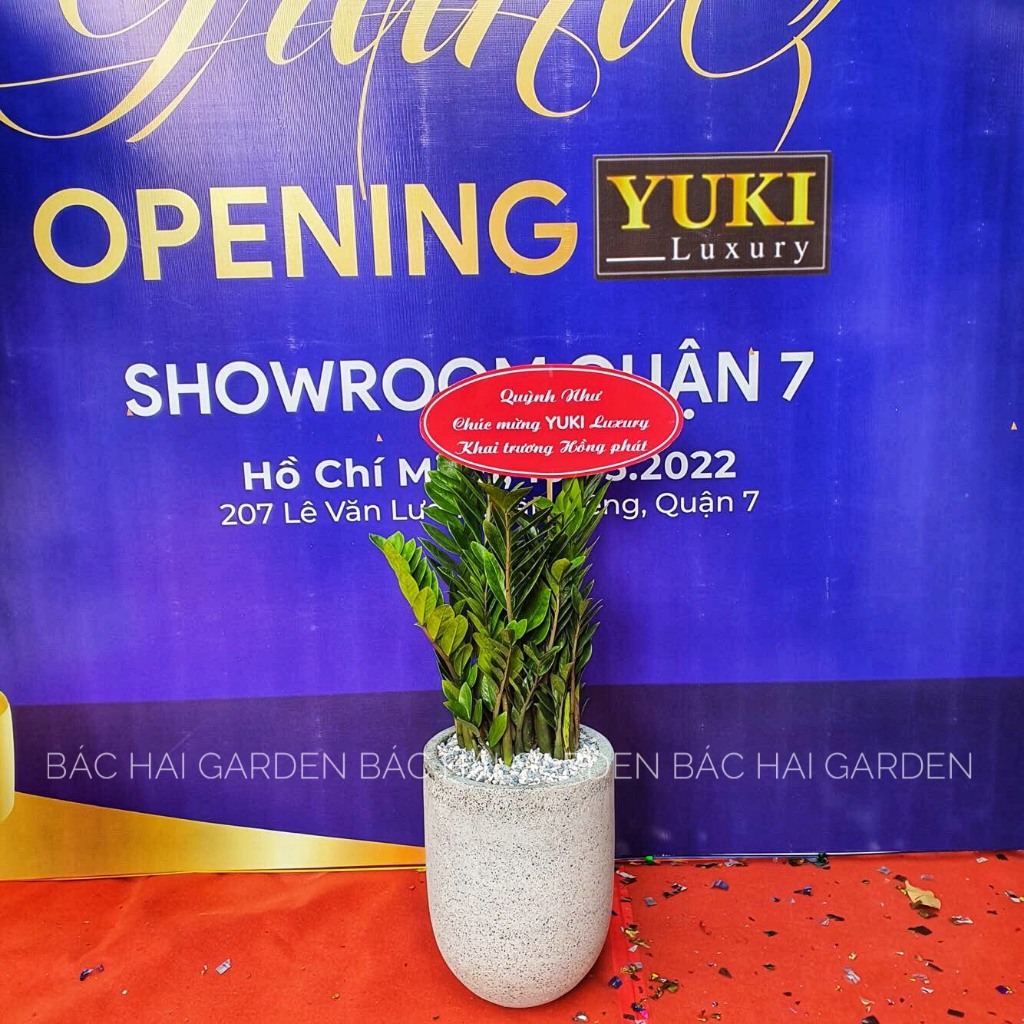 Bảng cắm đỏ Khai trương - Tân gia in theo nội dung yêu cầu khổ lớn A3- Chỉ bán kèm cây xanh