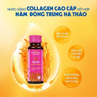 Combo 5 hộp Nước uống Collagen Đông Trùng Hạ Thảo Hector 5000mg (50chaix50ml)