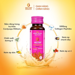 Combo 5 hộp Nước uống Collagen Đông Trùng Hạ Thảo Hector 5000mg (50chaix50ml)