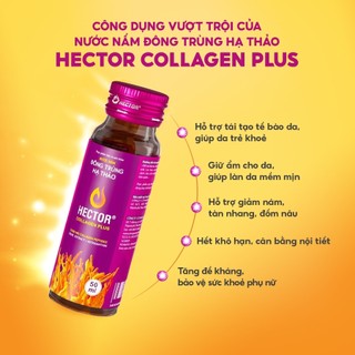 Combo 5 hộp Nước nấm Đông Trùng Hạ Thảo Hector Collagen Plus 50 chai