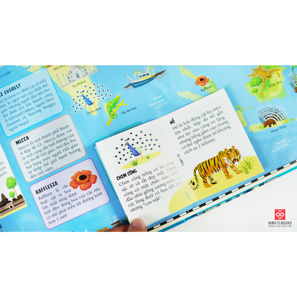 Ảnh Sách - Atlas thế giới - Lật mở tương tác khám phá các châu lục và đại dương cho trẻ từ 6 tuổi - Đinh Tị Books 4