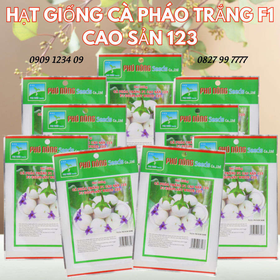 Hạt giống cà pháo trắng F1 cao sản 123 5