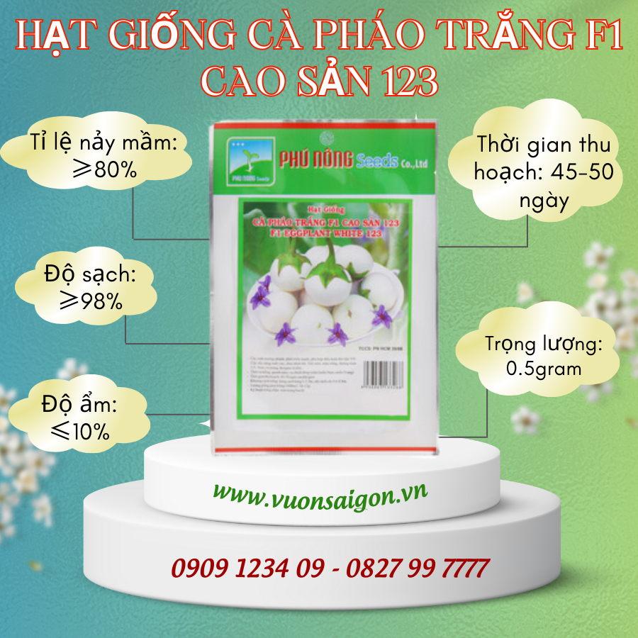 Hạt giống cà pháo trắng F1 cao sản 123 2