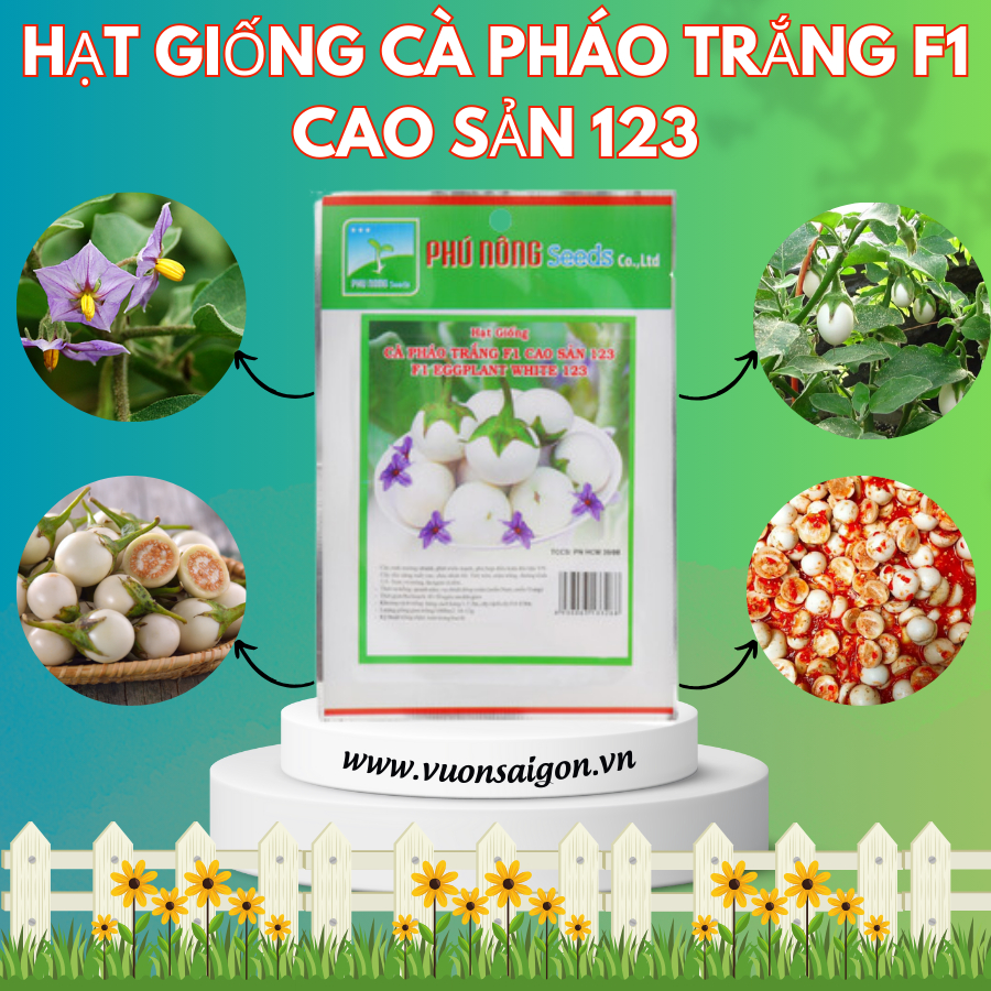 Hạt giống cà pháo trắng F1 cao sản 123 4
