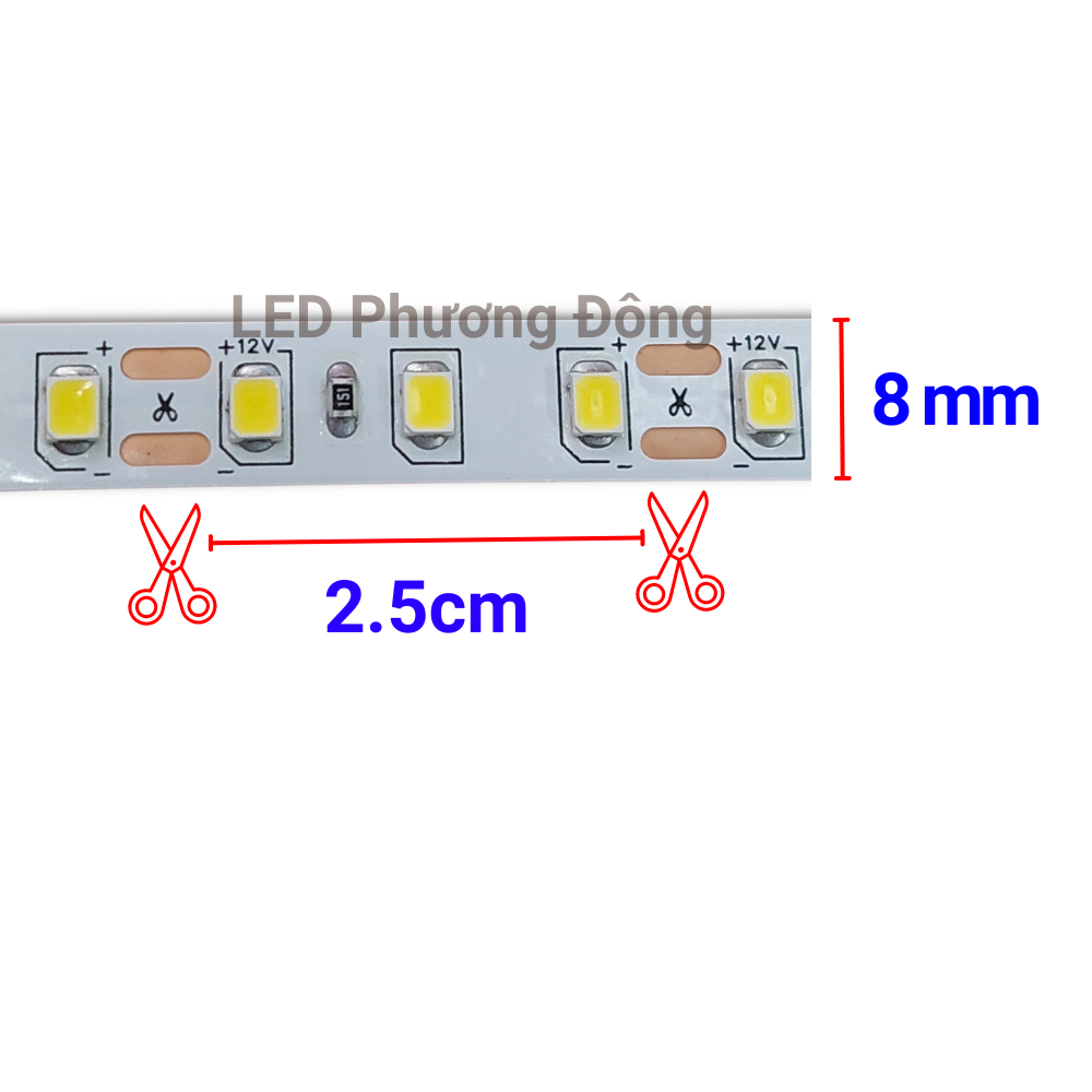 Combo Cuộn Đèn LED dây dán 5m + Nguồn 12V - 5A - Tặng giắc cái và Đômino