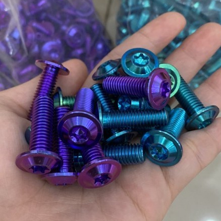 Ốc Titan Gr5 Xịn Ốc đĩa 8li titanium gr5 , ốc dĩa titan 8li25 | Shopee ...