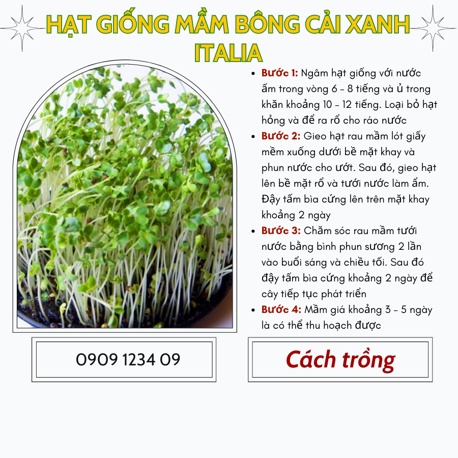 Hạt giống mầm bông cải xanh Phú Nông 4