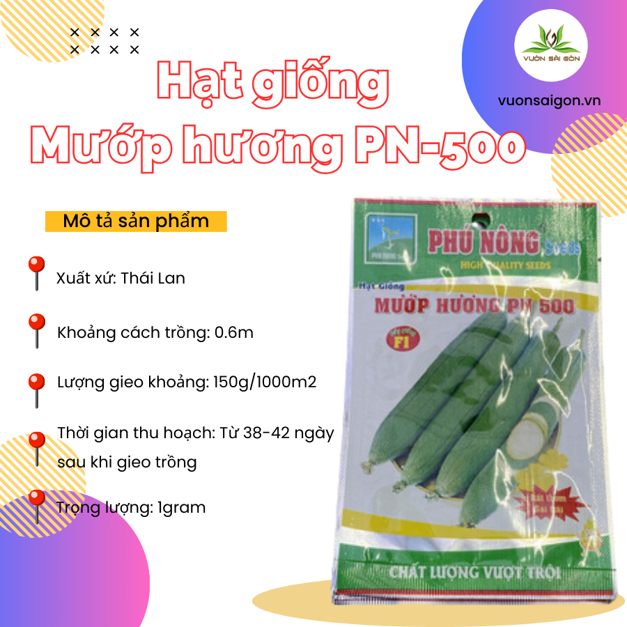 Hạt giống mướp hương - Rất thơm, siêu trái 2