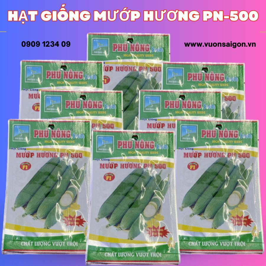 Hạt giống mướp hương - Rất thơm, siêu trái 5