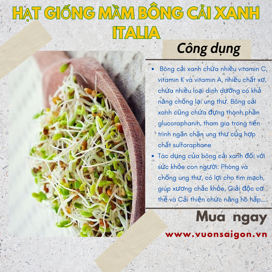 Hạt giống mầm bông cải xanh Phú Nông 3