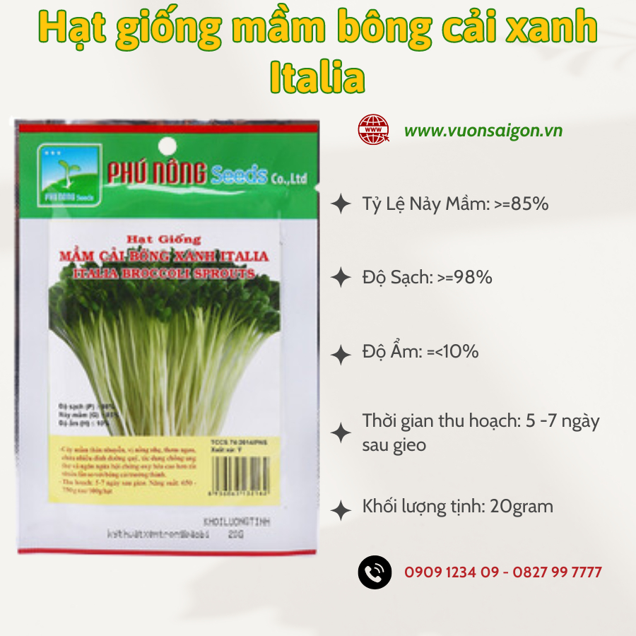 Hạt giống mầm bông cải xanh Phú Nông 2