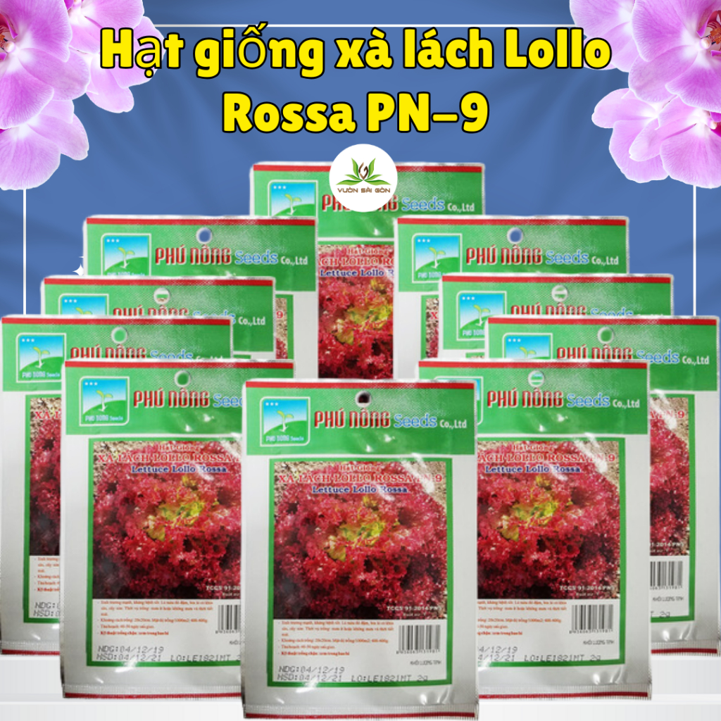 Hạt giống xà lách Lollo Rossa Phú Nông PN-9 5