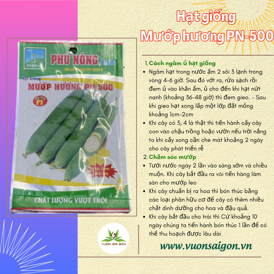 Hạt giống mướp hương - Rất thơm, siêu trái 3