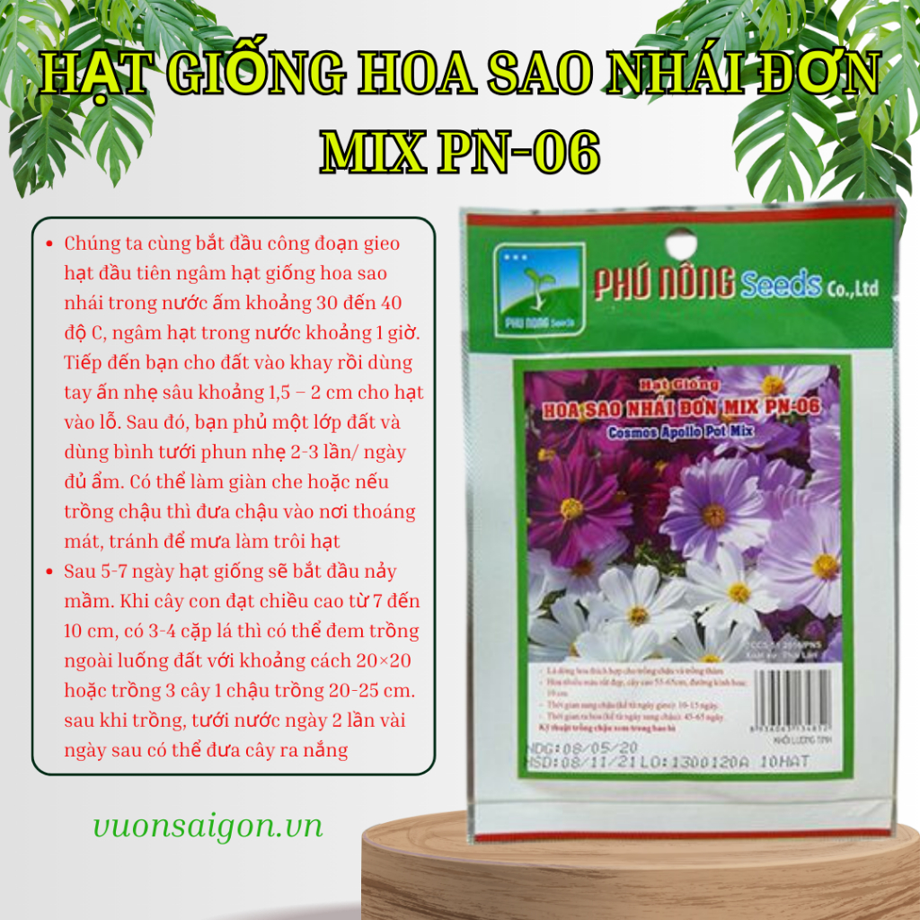 Hạt giống hoa sao nhái đơn mix Phú Nông 3
