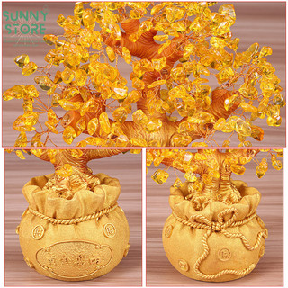 Cây tài lộc, Cây tiền vàng đế túi tiền, Cây kim tiền phong thủy, Decor Trang trí nhà cửa, Quà tặng ý nghĩa - SUNNY