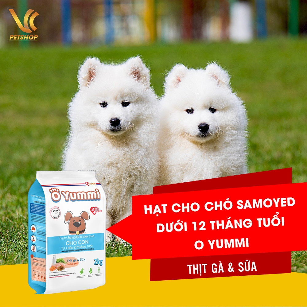 Thức Ăn Hạt Cho Chó Samoyed Con | Hạt Cho Chó Samoyed Trưởng Thành O ...