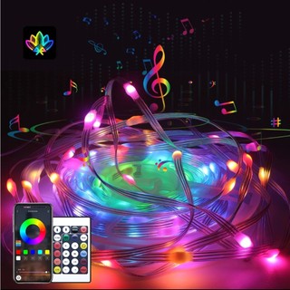 Đèn Led Cuộn nháy đuổi 10M  Dây đèn LED trang trí RGB 5V Cổng USB nháy theo nhạc  kèm điều khiển