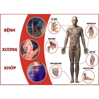 Dầu xoa bóp LengKengFarm, Rượu Xoa Bóp Mã Tiền Xương Khớp Gia Truyền Võ Bình Định SỈ SLL