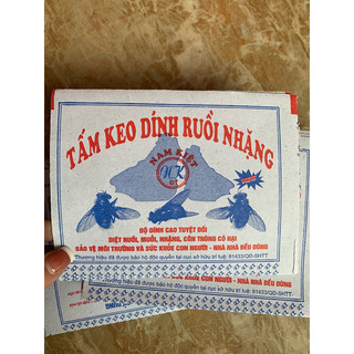 combo 50c tấm keo dính ruồi