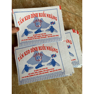 combo 50c tấm keo dính ruồi