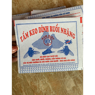 combo 50c tấm keo dính ruồi