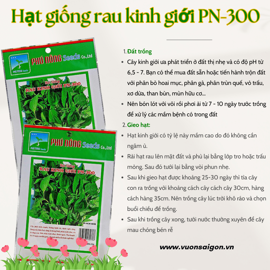 Hạt giống rau kinh giới PN-300 2gr 1