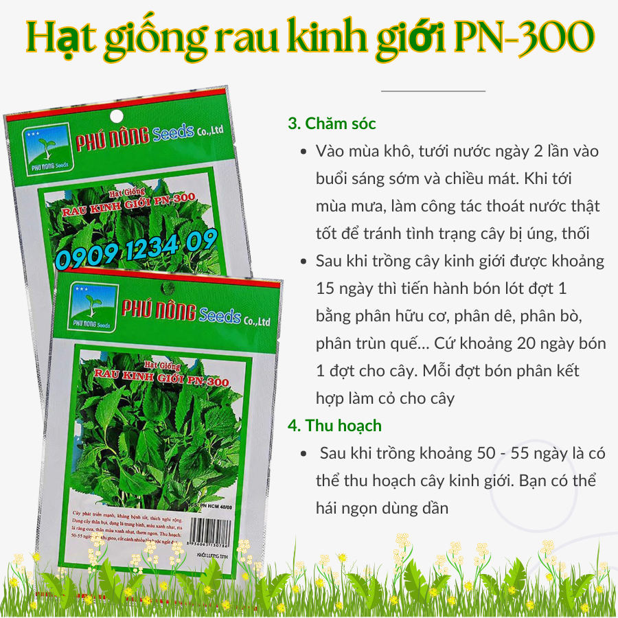 Hạt giống rau kinh giới PN-300 2gr 2