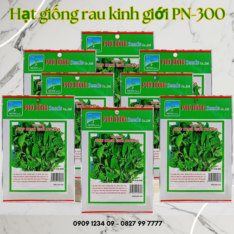 Hạt giống rau kinh giới PN-300 2gr 3
