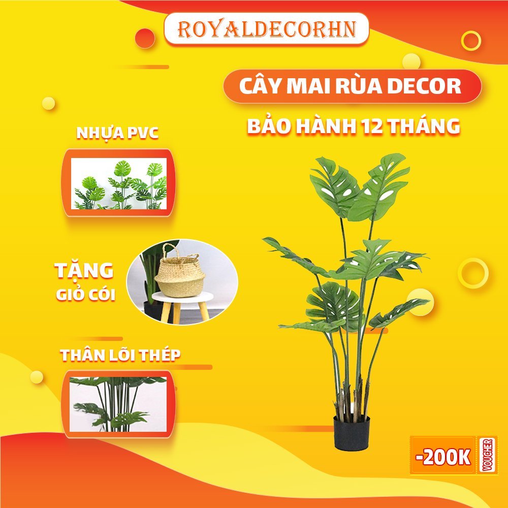 Cây Mai Rùa Decor Giống Như Thật,Trang Trí Nhà Cửa Cây Cảnh Trang Trí ...