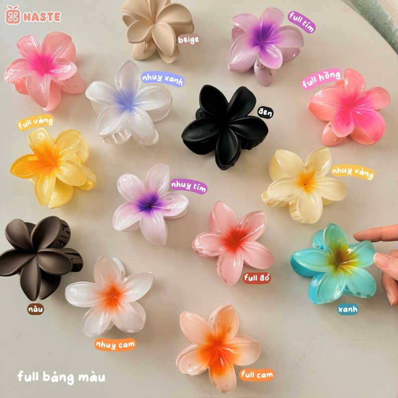 Kẹp Tóc Nhựa Hoa Sứ 8cm Pastel Xà Cừ Hologram Nhiều Màu Kẹp Mùa Hè Đi Biển Nhựa Xịn Cứng Cáp Quà Tặng Bạn Nữ Dễ Thương